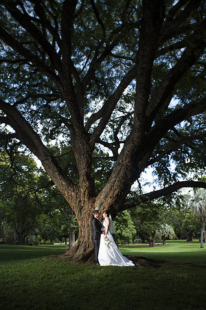 Brisbane Botanical Gardens Wedding